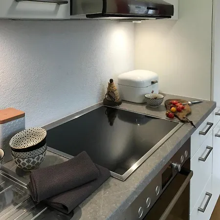 Sterntaucher Apartment Uberlingen