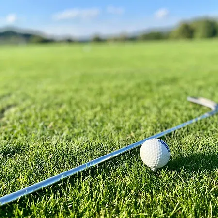 Sterntaucher Überlingen